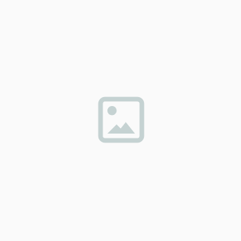delivery-agent image